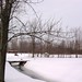 Steve Banach Photo 11