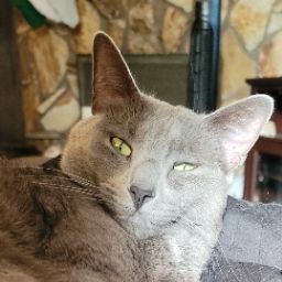 Jennifer Peters Photo 19