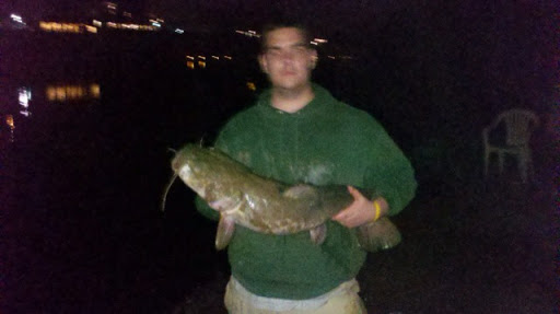 Tony Everett Photo 18