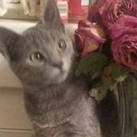 Kristin Jacobs Photo 41