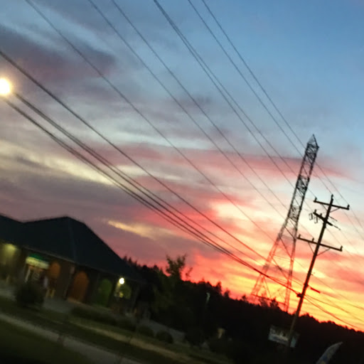 Andrea Williams Photo 31