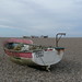 Jane King Photo 37