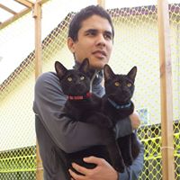 Charlie Tuttle Photo 13