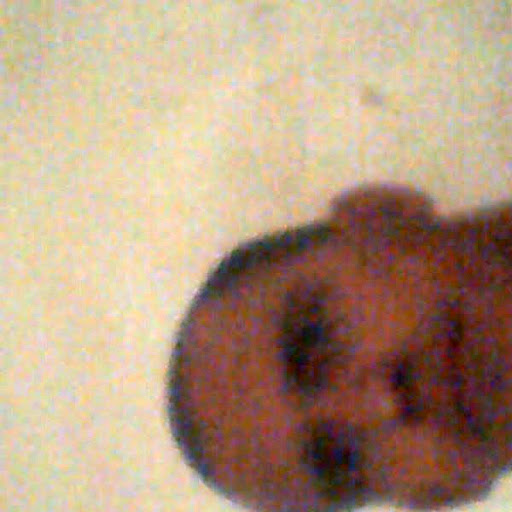 Julian Gomez Photo 15