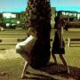 Rebecca Bradshaw Photo 23