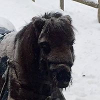 Linda Murray Photo 17