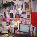 Stephanie Perdue Photo 17