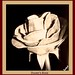 Diane Rose Photo 48