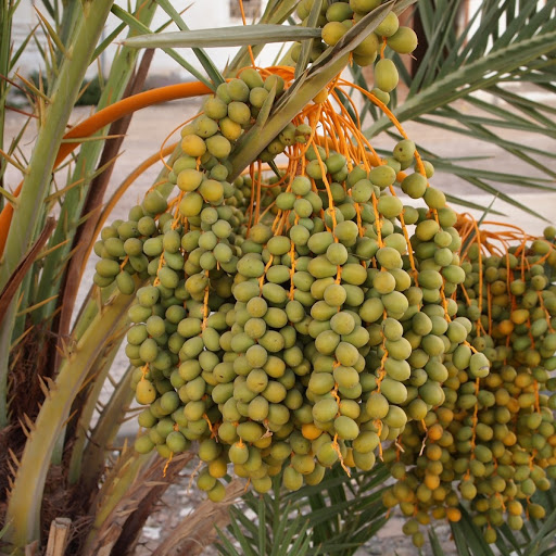 Nathaniel Mathews Photo 11