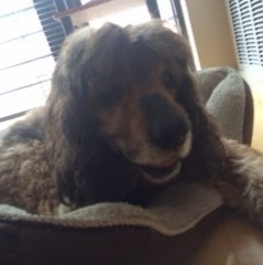 Brady Mcdaniel Photo 3