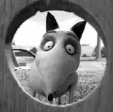 Kathryn Sparks Photo 28