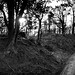Sandy March Photo 25