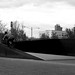 Andrew Fulton Photo 40