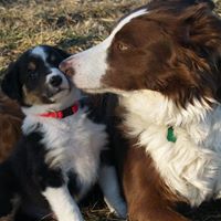 Cindy Arnett Photo 19