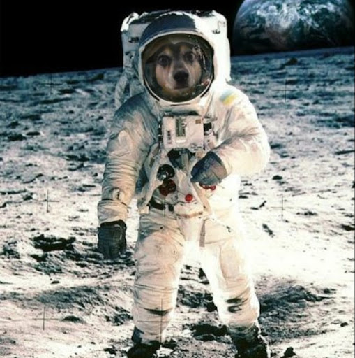 Margaret Willis Photo 21