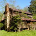 Anne Orr Photo 10