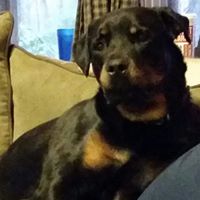 Jennifer Mellott Photo 29