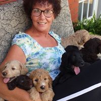 Kim Mcclendon Photo 25