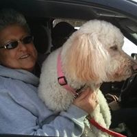 Linda Howe Photo 17