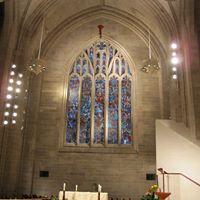 Julie Mcevoy Photo 31