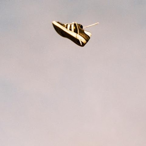 Sean Whiteman Photo 3