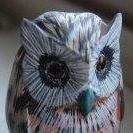 Suzanne German Photo 3