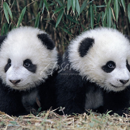 Brooke Walker Photo 19