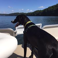 Steven Kendall Photo 37