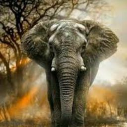 Joseph Goddard Photo 29 Joseph Goddard Photo 29