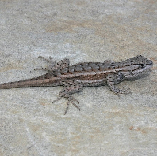 Philip Waters Photo 9