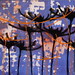 Catherine Green Photo 22