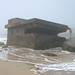 Martha Bunker Photo 3