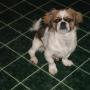 Lisa Stilwell Photo 10