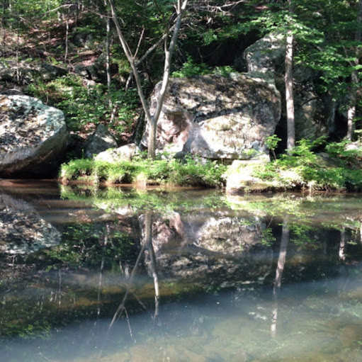 Susan Crandall Photo 34