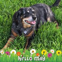 Rebecca Mullins Photo 20