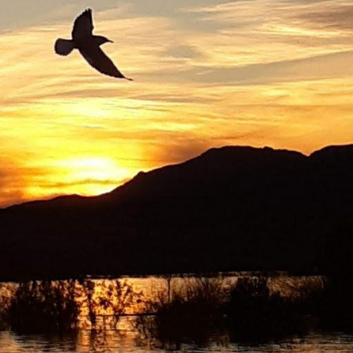 Bobby Simmons Photo 30