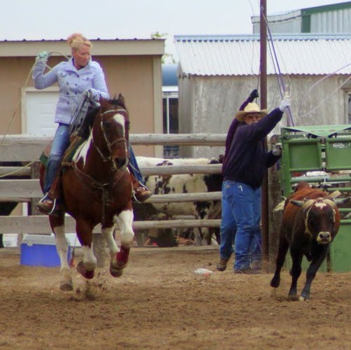 Christine Hammond Photo 37