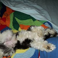 Gloria Bruce Photo 21