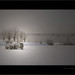 Pierre Lemieux Photo 14