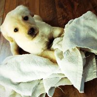 Brian Fritz Photo 15