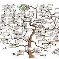 Diane Mccarty Photo 16