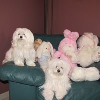 Robert Byrne Photo 50