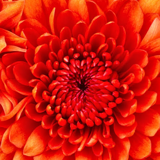 Stephanie Schubert Photo 27