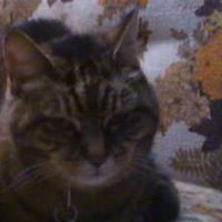 Alicia Warren Photo 24