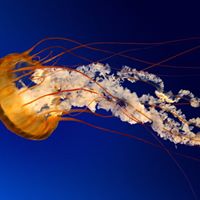 Brian Simon Photo 27