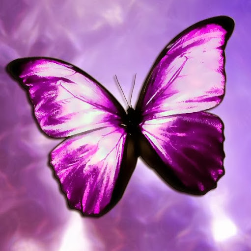 Silvia Ortega Photo 17