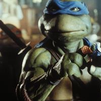 Kevin Mccabe Photo 45