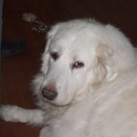 Cheryl Tuttle Photo 35 Cheryl Tuttle Photo 35