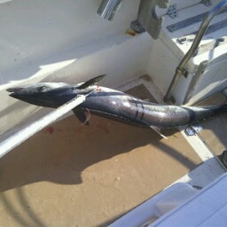 Rigoberto Guzman Photo 14