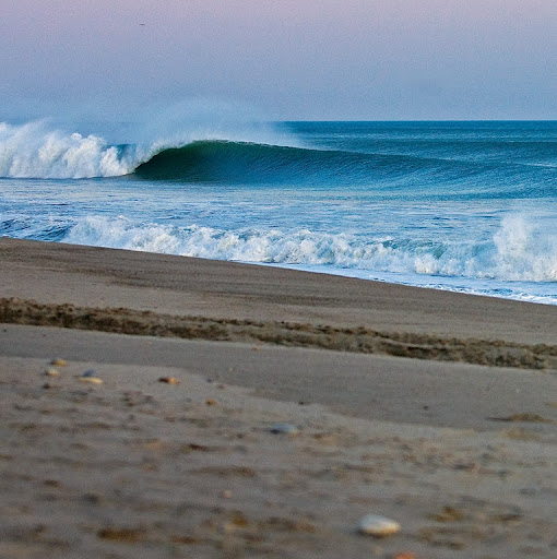 Randall Pollock Photo 4